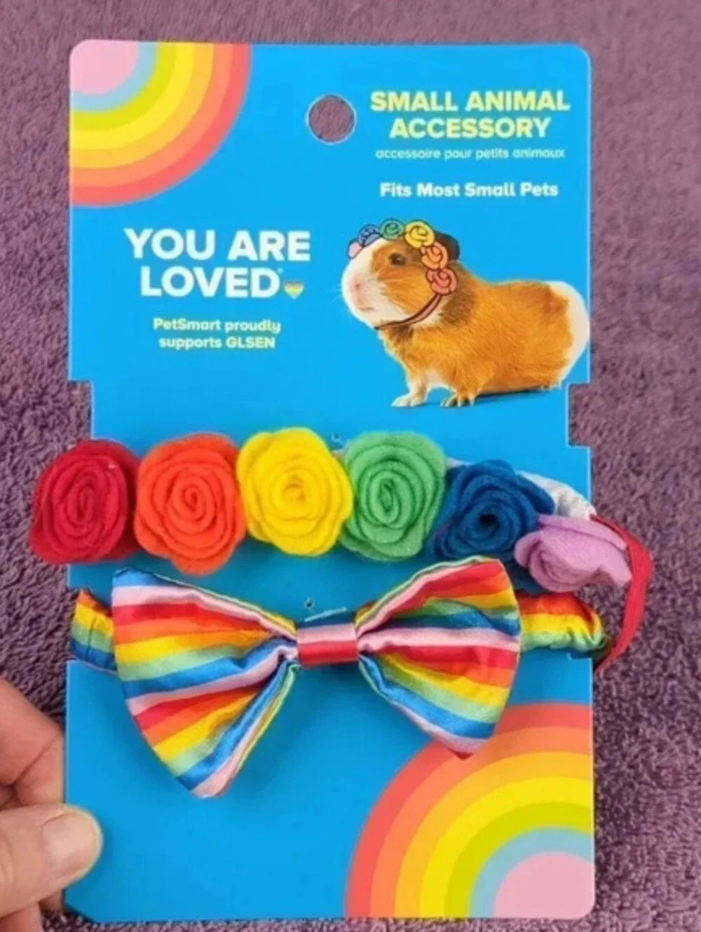 Pride Themed Small Animal Accessories & Cupcake Shaped Chew Toy